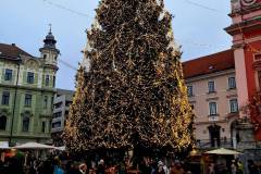 Dan-za-umetnost-in-knjiznicno-informacijsko-znanje-015