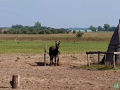 Ekskurzija-na-Madzarsko-2018-004