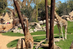 Erasmus-Valencija-2025-1-teden-Biopark_02