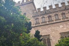 Erasmus-Valencia-2026-1-teden-007