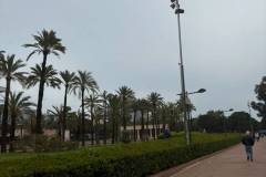 Erasmus-Valencia-2026-1-teden-016