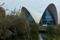 Erasmus-Valencia-2026-1-teden-017