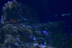 Erasmus-Valencia-2026-1-teden-018