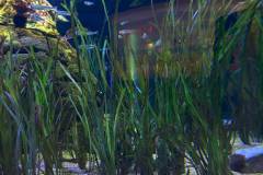 Erasmus-Valencia-2026-1-teden-020