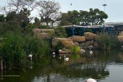 Erasmus-Valencia-2026-1-teden-021