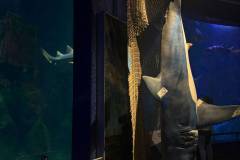 Erasmus-Valencia-2026-1-teden-022