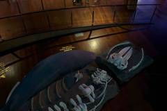 Erasmus-Valencia-2026-1-teden-023