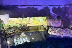 Erasmus-Valencia-2026-1-teden-024