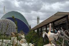 Erasmus-Valencia-2026-1-teden-025