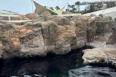 Erasmus-Valencia-2026-1-teden-026