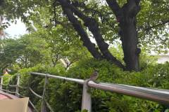 Erasmus-Valencia-2026-1-teden-027