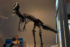 Erasmus-Valencia-2026-1-teden-028