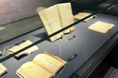 Erasmus-Valencia-2026-1-teden-030