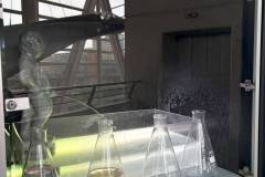 Erasmus-Valencia-2026-1-teden-035