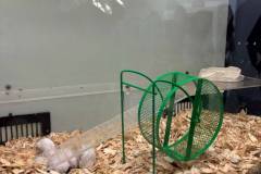 Erasmus-Valencia-2026-1-teden-036