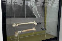 Erasmus-Valencia-2026-1-teden-037