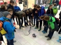 Festival-IZUM-2015-02