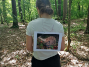 Gozdna-pedagogika-in-Sikaluzoo-016