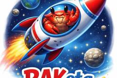 Kaj-imajo-skupnega-Lea-Vida-RAKeta