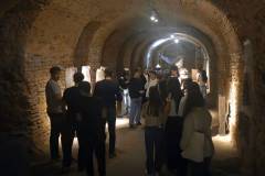 Ogled-svetovnih-razstav-Galerija-Muzej-Lendava-009