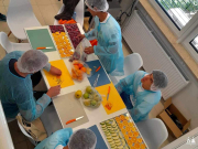 Poletna-sola-za-dijake-proces-zamrzovalno-susenje-005