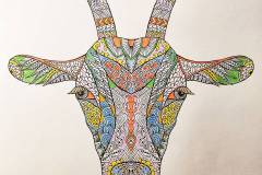 Poucne-oddaje-v-okviru-zdravstvene-vzgoje-3a-razreda-007