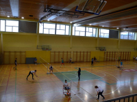 Regijsko prvenstvo v badmintonu 2017