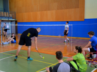 Regijsko prvenstvo v badmintonu 2019