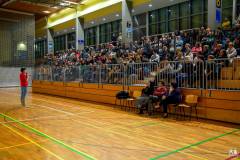 Sanela-Peresciutti-Emocionalni-mozgani-in-vrednote-001