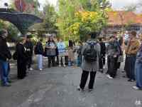 sodobna umetnost in festival stripa Tinta