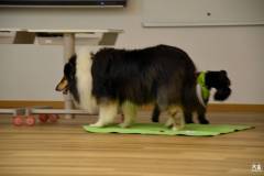 sportaj-za-dober-namen-2026-070
