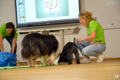 sportaj-za-dober-namen-2026-071