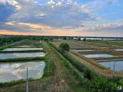 Strokovna-ekskurzija-1-letnikov-na-Madzarsko-006