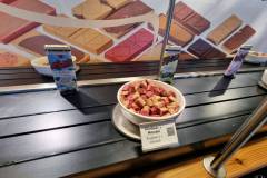 Strokovna-ekskurzija-v-Gradec-004