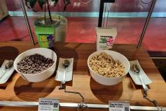 Strokovna-ekskurzija-v-Gradec-011