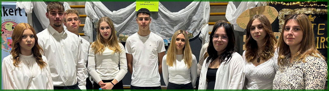 Nemzetközi tanvállalati vásár Győrben, Magyarországon