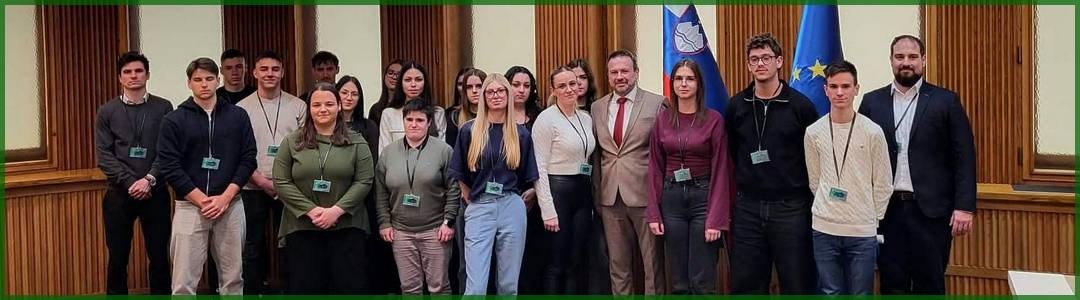 Simulacija zakonodajnega postopka